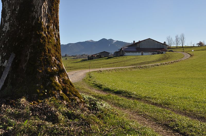 marie-fngt-feuer-bad_bayersoien-05-10434