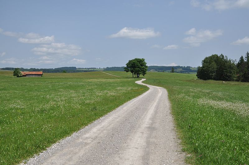 marie-fngt-feuer-bad_bayersoien-baum-03-00106