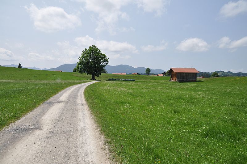 marie-fngt-feuer-bad_bayersoien-baum-04-04749