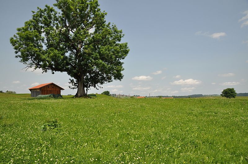 marie-fngt-feuer-bad_bayersoien-04-04800-drehort