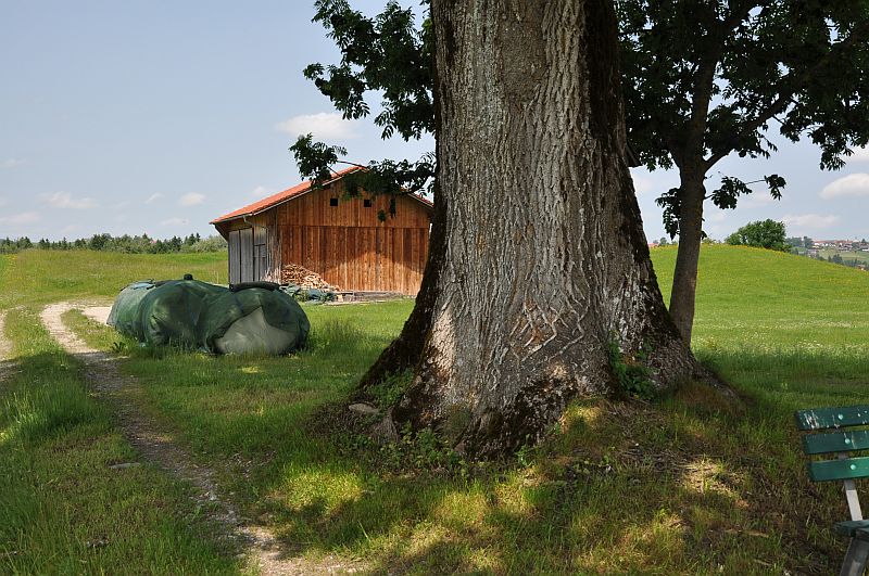 marie-fngt-feuer-bad_bayersoien-baum-04-04821