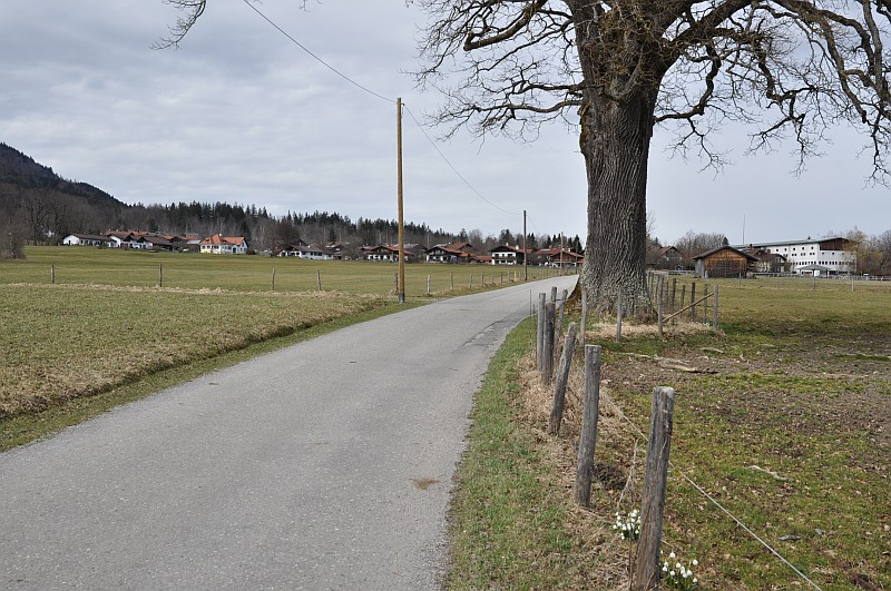 marie-fngt-feuer-grafenaschau-schwaigen-24-11223