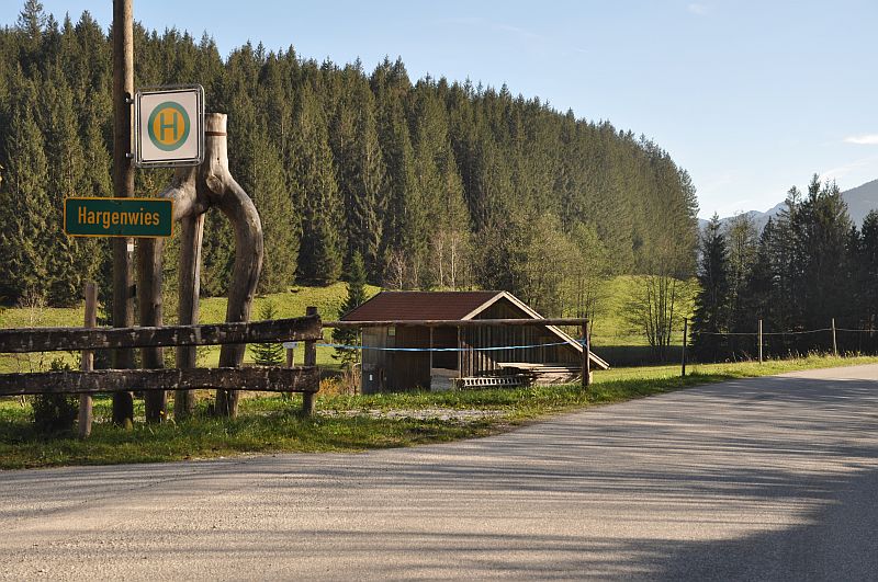 marie-fngt-feuer-hargenwies-01-12259