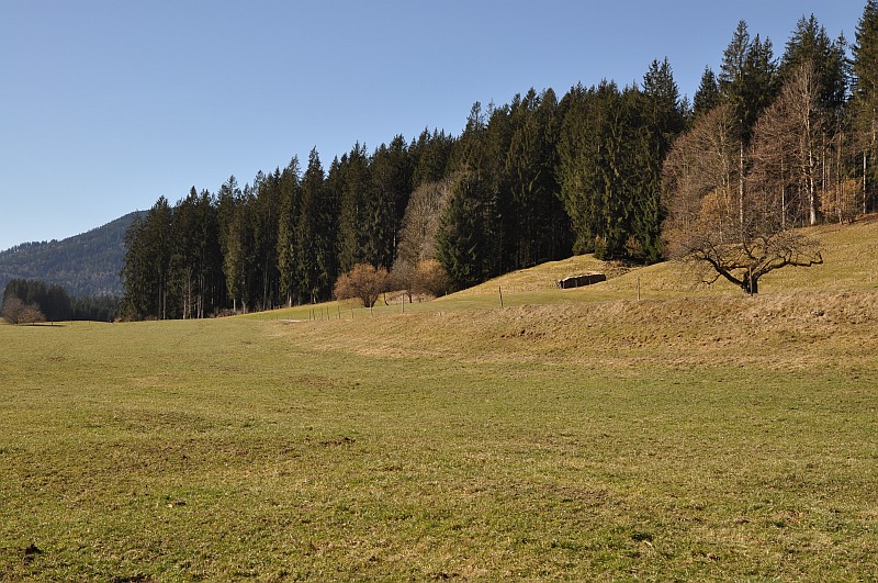 marie-fngt-feuer-hargenwies-01-12328-drehort