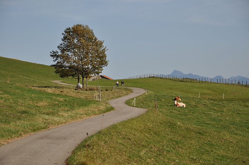 marie-fngt-feuer-saulgrub-05-10048
