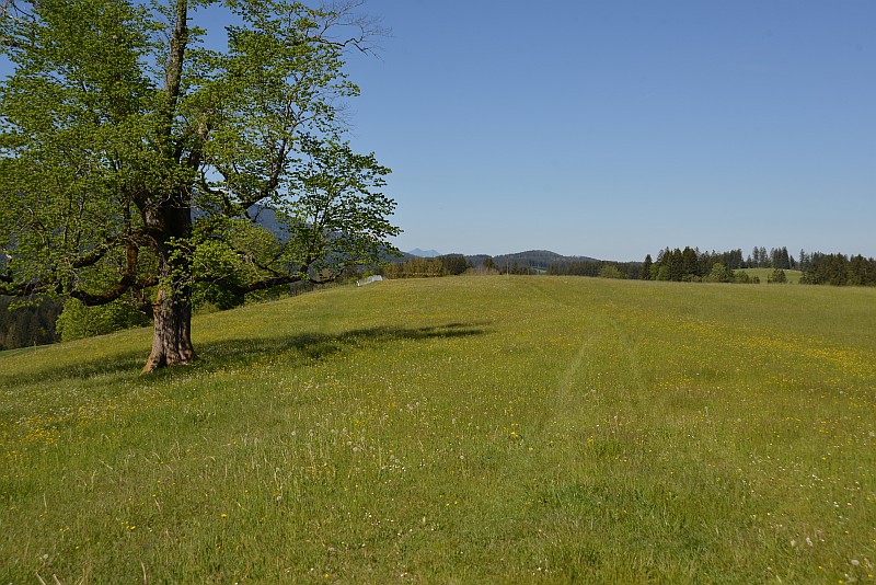 marie-fngt-feuer-saulgrub-hhenweg-25-00542-drehort