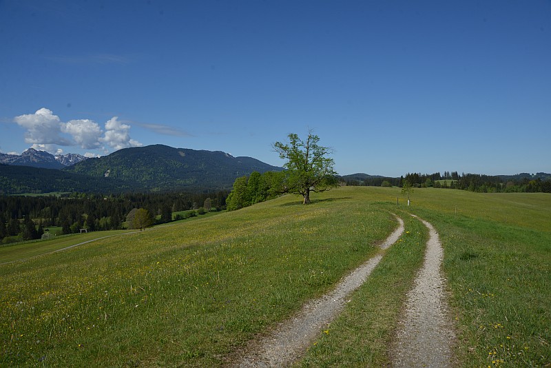 marie-fngt-feuer-saulgrub-hhenweg-25-03521-drehort
