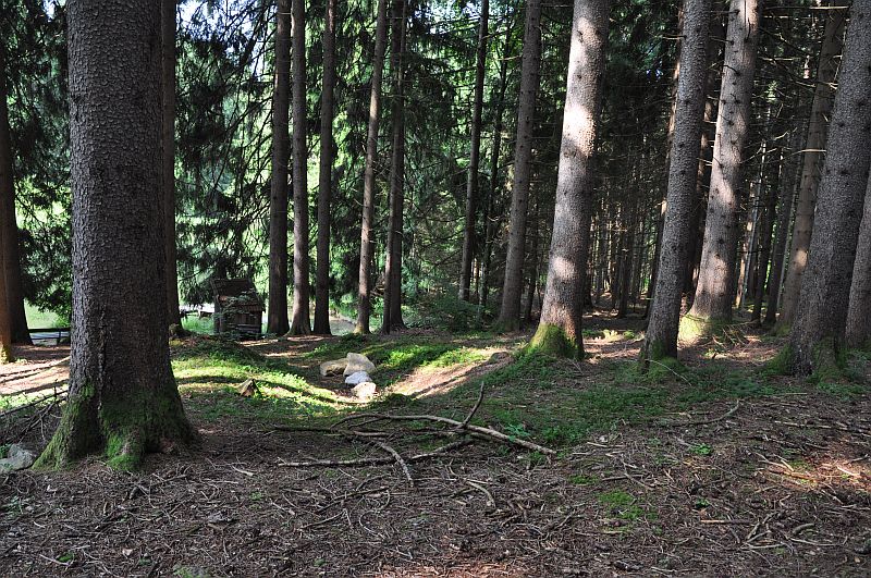 marie-fngt-feuer-saulgrub-hhenweg-bhmerweiher-22-03236