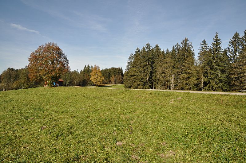 marie-fngt-feuer-schnberg-02-00232