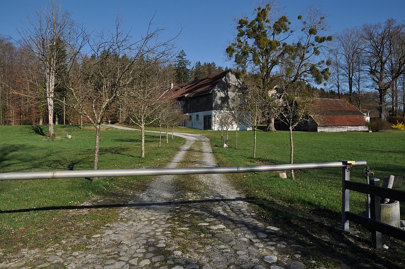 marie-fngt-feuer-st_heinrich-01-10642