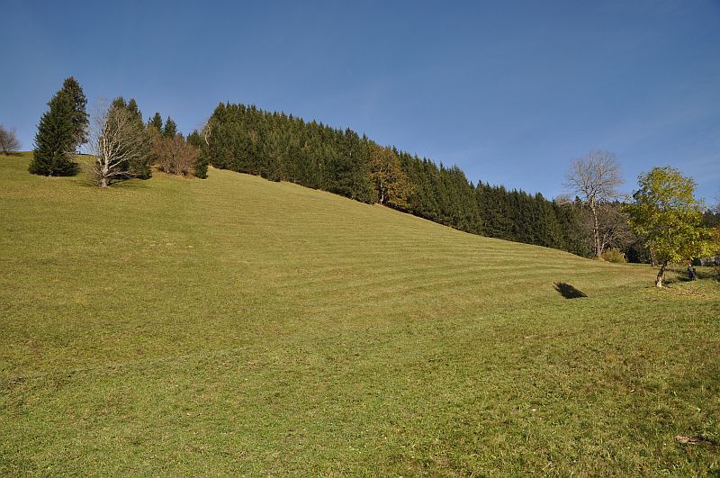 marie-fngt-feuer-unterammergau-romanshhe-01-00001