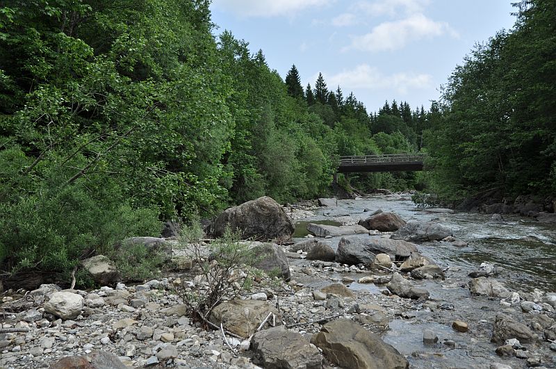 marie-fngt-feuer-unternogg-ammerbrcke_halbammer-10--03452