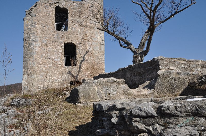 wohnturm neideck